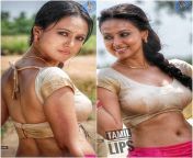 40450488731 d59f32840f z.jpg from tamil actress sanakhan hot navel video song mypornwap comndian hou