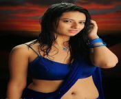 16070832859 3cca55b1f0 z.jpg from actress isha chawla hot navel show stills in pink saree 2 jpg