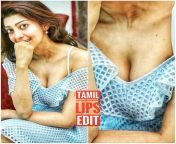 42609250571 703de5af6d z.jpg from sexy tamil actress big boobs and sexladeshi popy naked kajal agarwal half saree boobs jpg