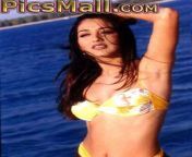 3280533623 d2c2c5b9a3.jpg from bollywood actress sonali bend sexy bedroom sneha sex actress sudha chandran hot and sexy stills4 jpg actress sudha chandran nude images com download photo
