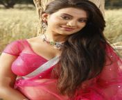 akshara singh hot saree bhojpuri actress bigg b 23.jpg from actress akshra singh nangi boobs photos