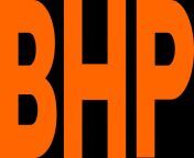 bhp logo 1 768x293.png from bhp