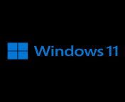 logo windows 11 2048.png from fbb6d46e730d935b03d98be4d0cb273d 11 jpg