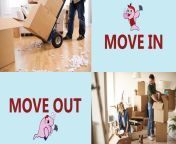 move in move out 2.jpg from তামিলxxx move