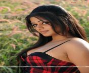 priyamani2839.jpg from tamil actress priyamani porn sex video in paruthiveer fuking r village pure debate 3g sex