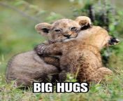 big hugs 255373 1 480x605.jpg from big hug sex 3gp