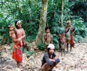 the jungle tribe or natives.jpg from indian cought in jungle