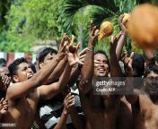 sri lankan tamil hindu devotees smash coconuts on the ground outside a hindu temple in colombo jpgs612x612wgik20cpabo56gjmyew4bvvujjsyuajxlrskdvko6uaeiy5qhg from lankan tamil wife bathing and fuckeding 2 video