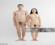 nude man and woman standing together jpgs612x612wgik20cazd 7bx9rwowod8tfvc 8uxfcncizqcfuarfek6xyfk from naked standing gettyimages