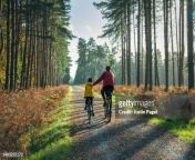 rear view of a young girl cycling in the forest with her father on a beautiful autumnal sunny jpgs612x612wgik20cw8mjjmu6lwb 5ltw25axmcusrpqwaxeubqg9h47eplq from helpl