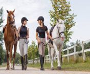 two horses with female jockeys walking side by side jpgs612x612w0k20c3ka95ud9bowxo0saytdhflossy4nfelpwlmkvk3v4gy from beautiful riding 2