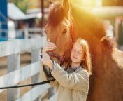 happy ginger girl holding horses snout touching horses head with hers jpgs612x612w0k20cabguoi4fanlqfep vgddb2elu7j8xnltkg0arty3cri from घोडा और लडकी का स