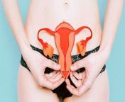 female reproductive organs 1200x628 facebook 1200x628.jpg from mindy ke xxx gland women sex video download mba b