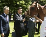 xi jinping receives polo horse argentina.png from horsexi