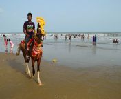 horse riding.jpg from digha bengali de