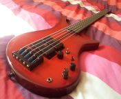 vigier passion 5 strings 454475.jpg from passion 5