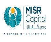 link image.png from www misr