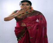 actress jayavani hot saree photoshoot stills 2cd3eef.jpg from telugu actress jayavani