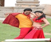 pulivaal movie stills prasanna oviya vimal ananya 1629c13.jpg from tamil actress pulival oviya hot songs videos