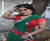 actress kumtaj hot saree photos idhuthanda chennai launch 642d592.jpg from tamil actress kumtaz hot