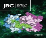 alopexx pharmaceuticals journal of biological chemistry jpgppublishw950 from aopuxx