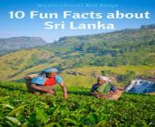 10 fun facts about sri lanka 1 600x900.png from 12 10 fackw sri lanka xxx com