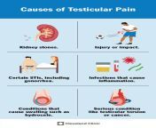 16292 testicular pain from painful an