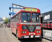 sri lanka local bus.jpg from sri lanka bus sudu akka 4 tmb jpg