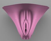 female genital realistic vagina 3d model c4d max obj fbx ma lwo 3ds 3dm stl 1794141.jpg from pussy is 3d