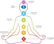 seven chakras for kundalini meditation.jpg from kajal chakra