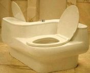 this double toilet for lovers lets couples poo at the same time thumb.jpg from sharing toilet