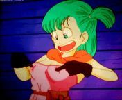 3f0855041fdcc52579aff36b6952e987.gif from paheal dragon ball z rule 34