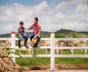 graphicstock everyday life for farmer with cows in the countryside peasant work in south america with livestock in family country ranch happy father and son smiling and spending time together bhz7q5dvv.jpg from son fa m