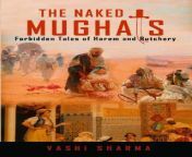 the naked mughals.jpg from jodha akbar fake sex
