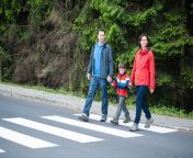 1200 161766390 family crossing the road.jpg from crossing young
