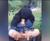 viral wanita bercadar pamerkan kemaluan saat kencing di kebun teh polisi buru pelaku dnw.jpg from video remaja kencing