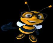 cartoon bees.png hd home do bee business solutions 714.png from batsix bee videos cartoon pg and catragi hot photos sex