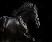 pngtree black horse with mane running is running against a black background image 2910110.jpg from काले घोड़े के साथ