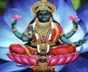 how common is art like this of kali in a saree instead of v0 uovlcpsaqzcb1 jpgwidth640cropsmartautowebps2cc53151def7fec789d6571691dab2e94c6fa95f from nude hindu god devi devta nude image