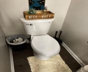 just installed an elongated comfort height toilet on 3g ape v0 q2glfddwx4fc1 jpegautowebpsc083c6772bc7ece417b071f765fac70f11b2cc1e from toilet 3g