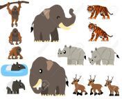 82633169 southeast asian animals vector containing tiger orangutan javan rhinoceros tapir asian elephant and.jpg from elpant se