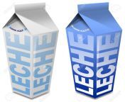 10877443 leche carton milk carton 2 white and blue packaging of milk with milk written in spanish.jpg from carton español