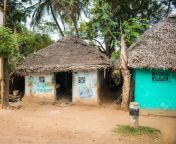 35312773 thanjavour inde janvier 13 paysage des maisons de village avec toit de chaume l inde le tamil.jpg from tamil vllage