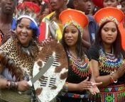 main qimg 6f8dfdf1ea7d8b6c589734910f2c3f9e lq from zulu tribe ladys