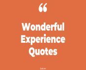 wonderful experience quotes.jpg from what wonderful experience mp4
