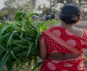 farmerprosperity img 4 pngfitcropcropfacesautocompress from indeain basha village aunty removing saree blouse bra videos