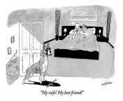 dog enters room where poodle and man are in bed andy friedman.jpg from xxx sketch photodog and man xxx naked bar dance
