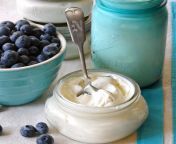 homemade greek yogurt saladinajar com .jpg from indian brie xxx gram dukan