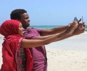 seflies.jpg from somali shows amateurs friend