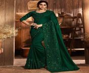 5412 1.jpg from in green sari